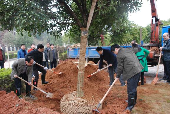 米兰体育平台app官网_米兰体育(中国)
开展植树活动